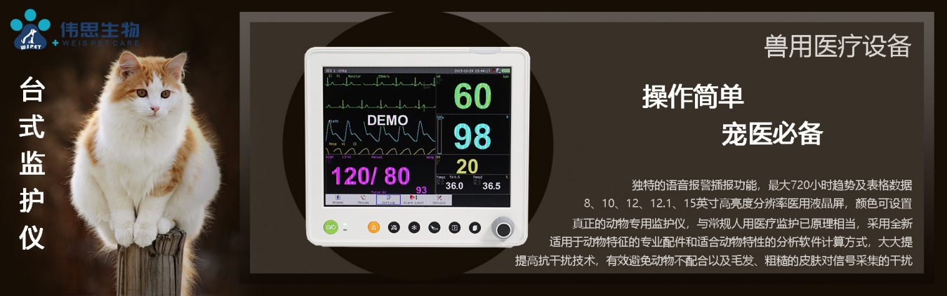 动物宣传1